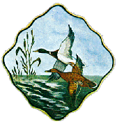 Cecil County